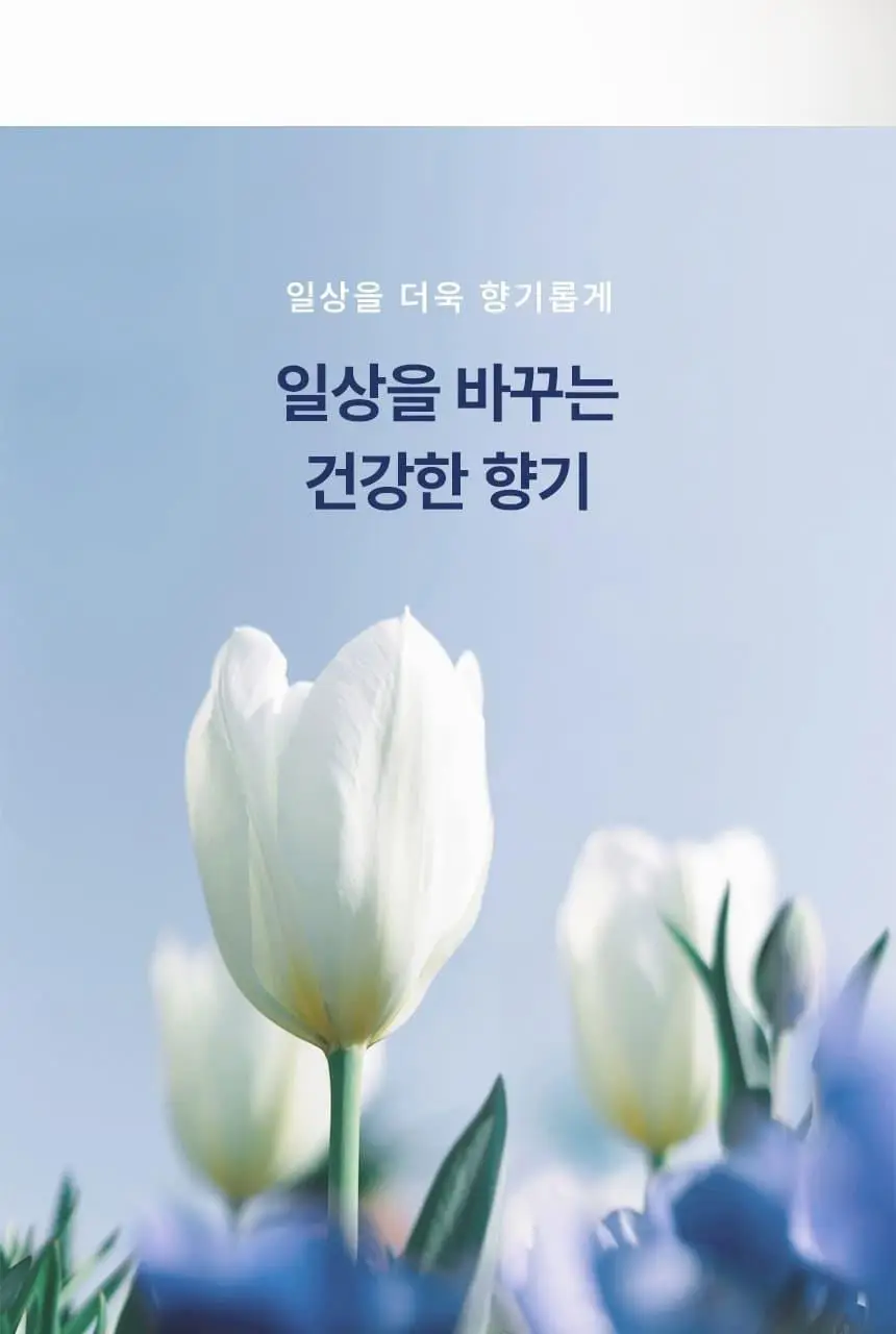 닥터시드 슈퍼시드밤 리바이탈라이즈 샴푸 베베머스크 1000ml 상세페이지 16