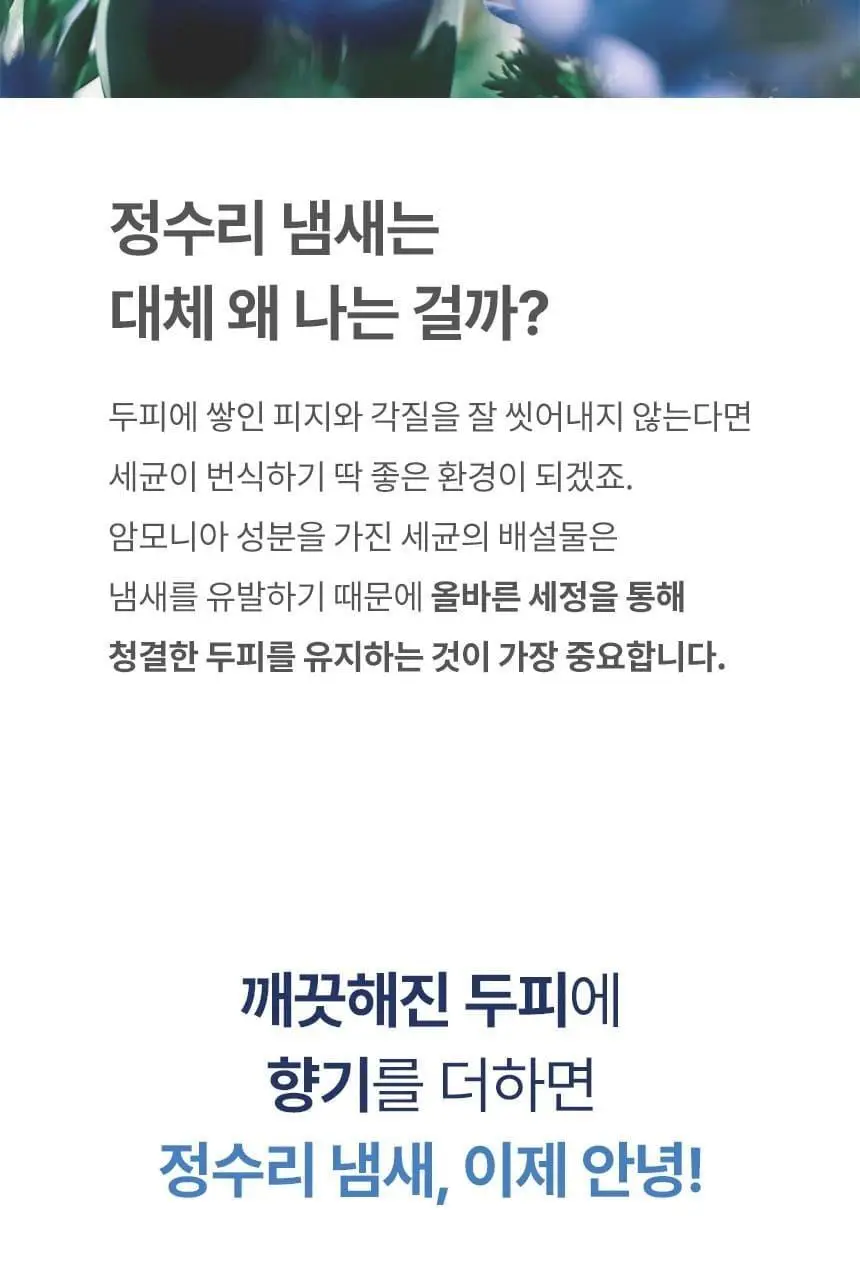 닥터시드 슈퍼시드밤 리바이탈라이즈 샴푸 베베머스크 1000ml 상세페이지 17