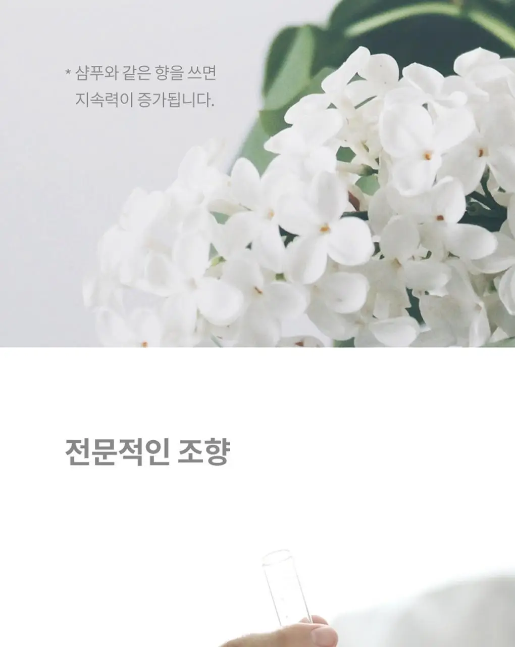 닥터시드 슈퍼시드밤 샴푸/트리트먼트 1000ml 3종 택1 상세페이지 40