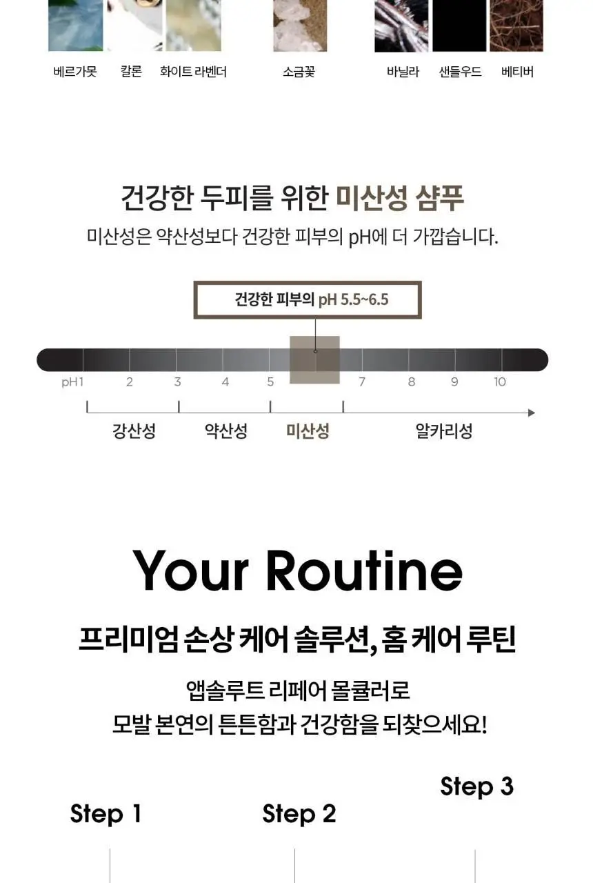 로레알 프로페셔널 앱솔루트 리페어 몰큘러 2종 세트(샴푸 100ml+워터 트리트먼트 75ml) 상세페이지 10