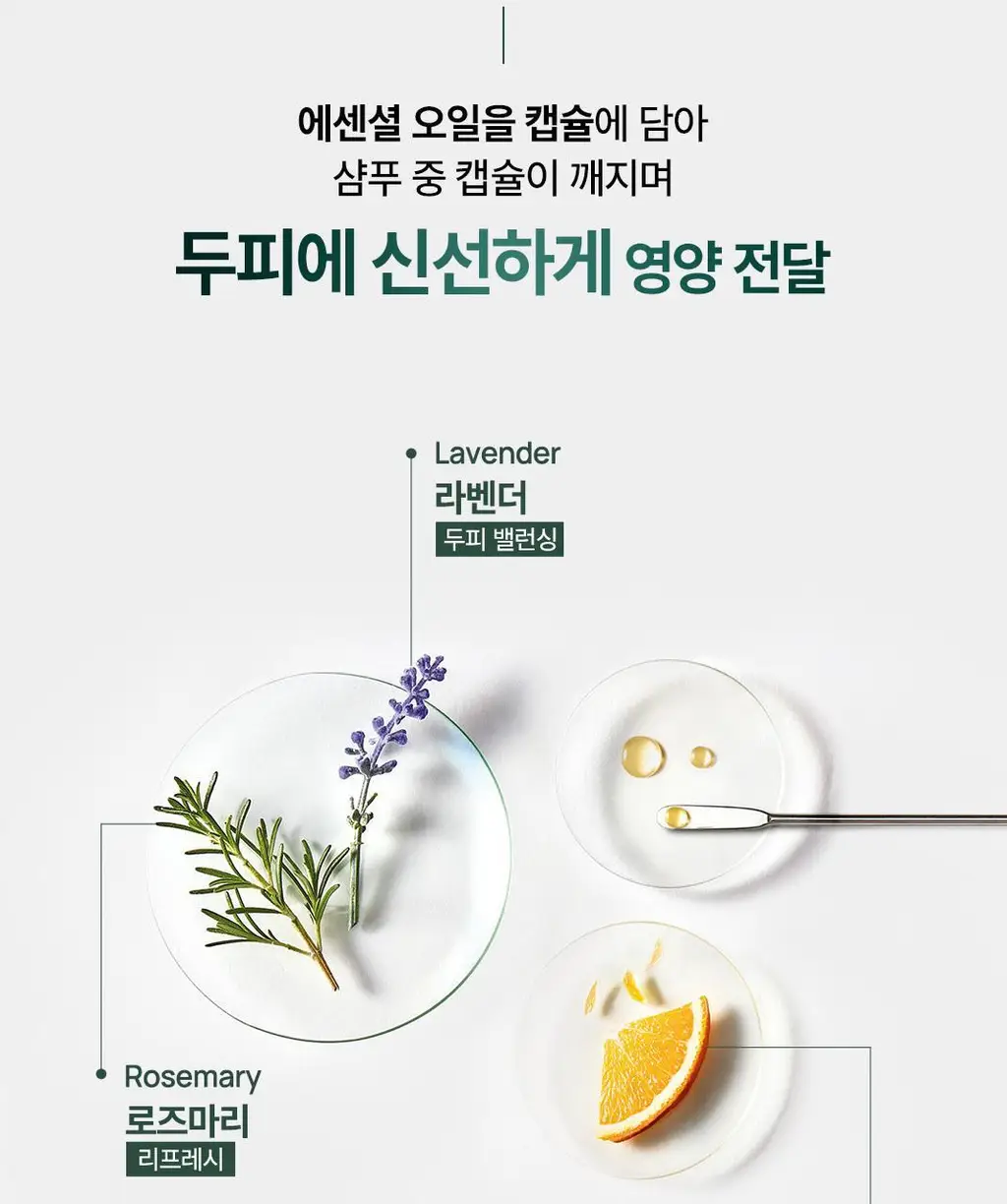 르네휘테르 베스트 샴푸 250ml 3종 택1 (포티샤/토뉘시아/아스테라)(기획/단품) 상세페이지 11