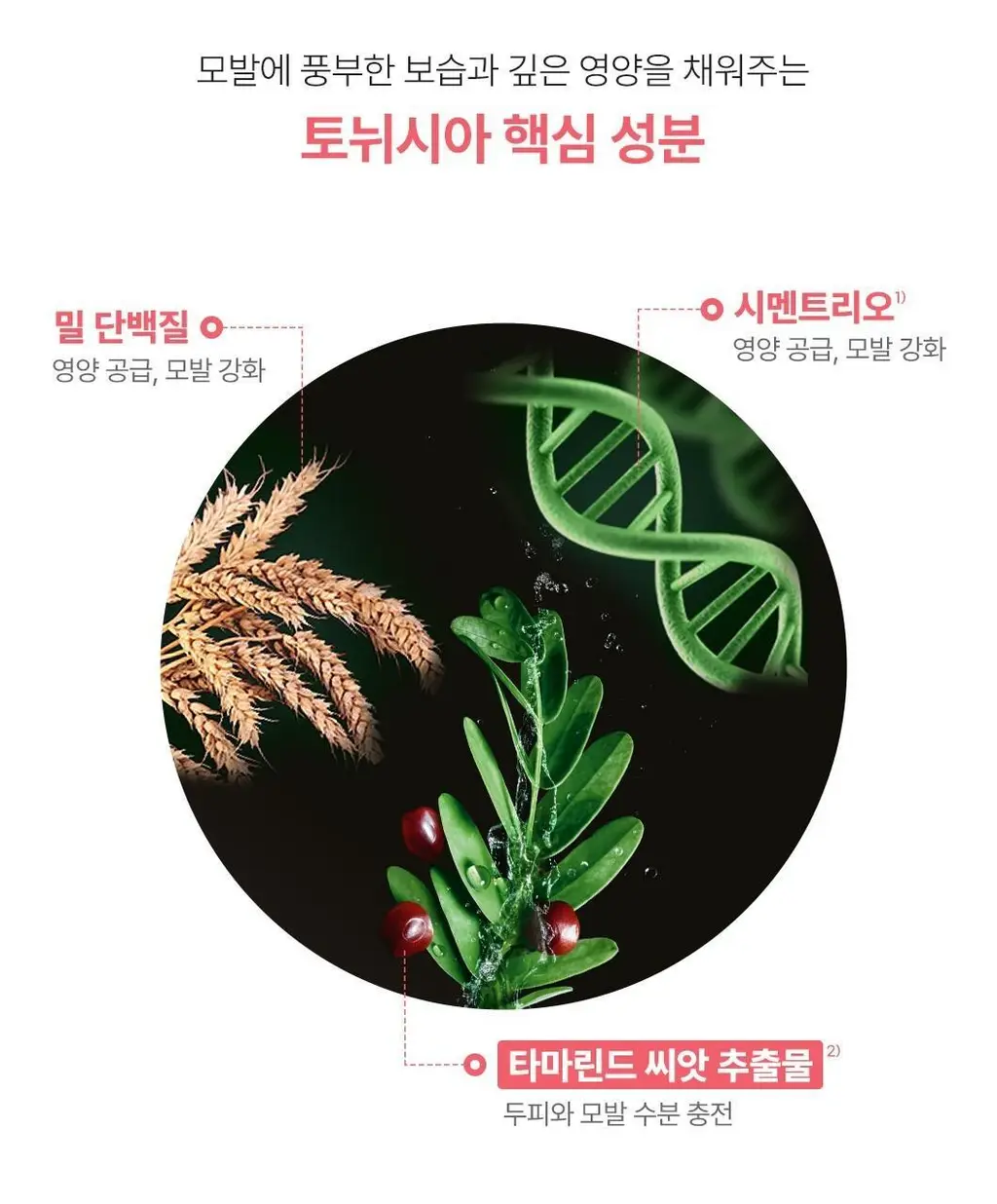 르네휘테르 베스트 샴푸 250ml 3종 택1 (포티샤/토뉘시아/아스테라)(기획/단품) 상세페이지 39