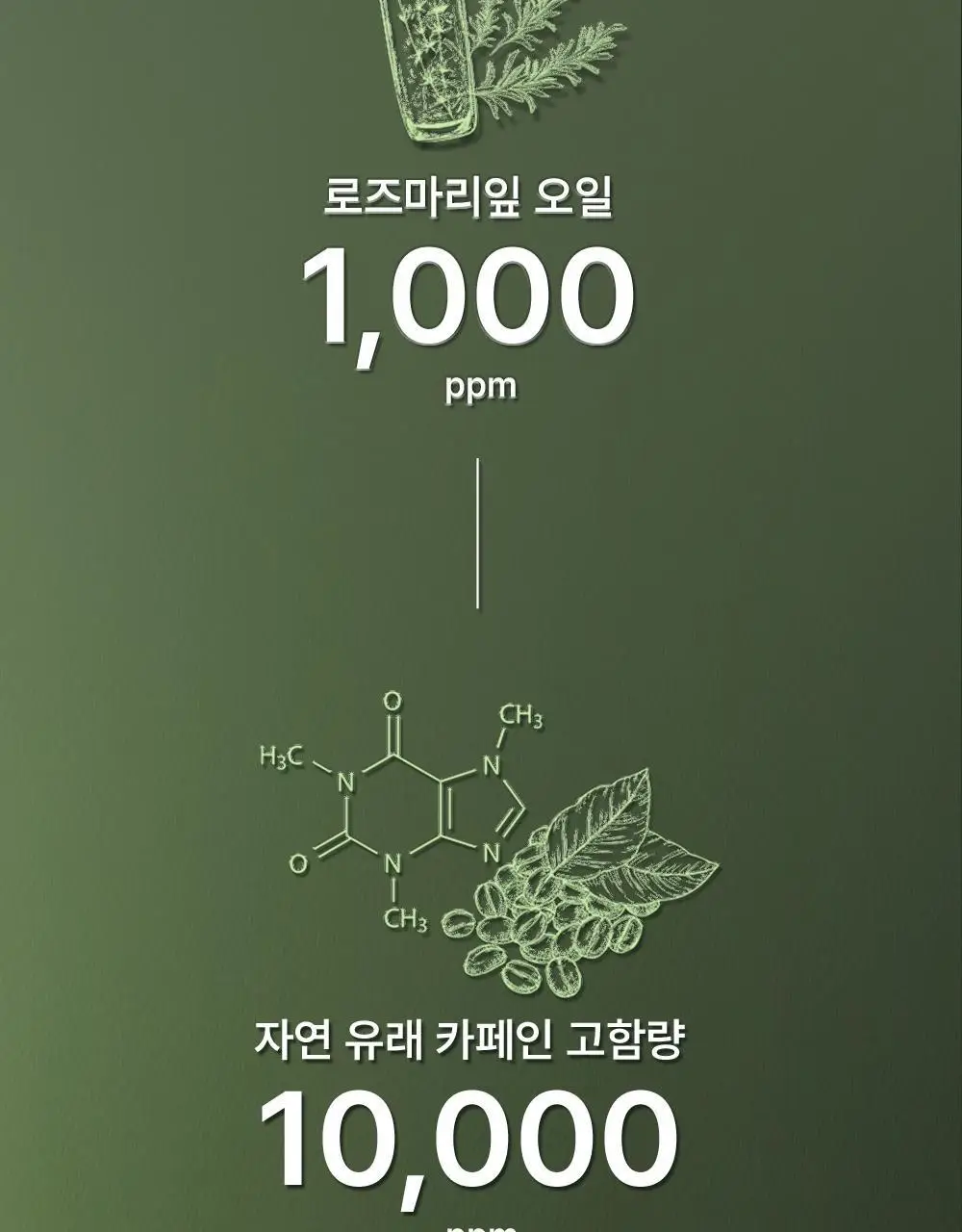 몽잘 바리스칼프 로즈마리샴푸 500ml 단품/기획 (탈모증상완화) 상세페이지 30