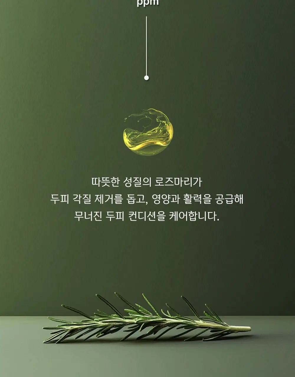 몽잘 바리스칼프 로즈마리샴푸 500ml 단품/기획 (탈모증상완화) 상세페이지 31