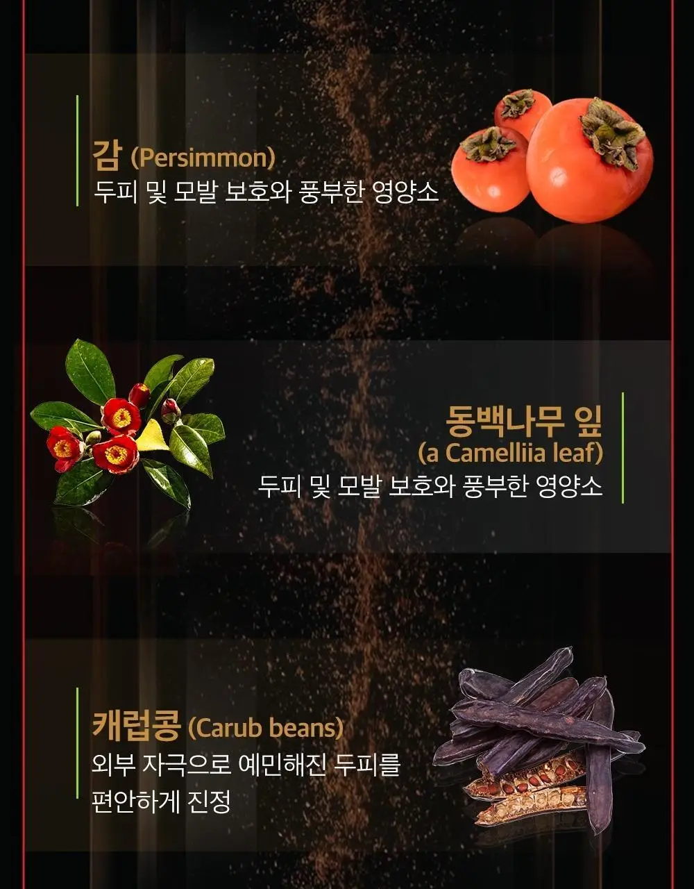 몽잘 바리스칼프 커피샴푸 500ml 단품/기획 (탈모증상완화) 상세페이지 13