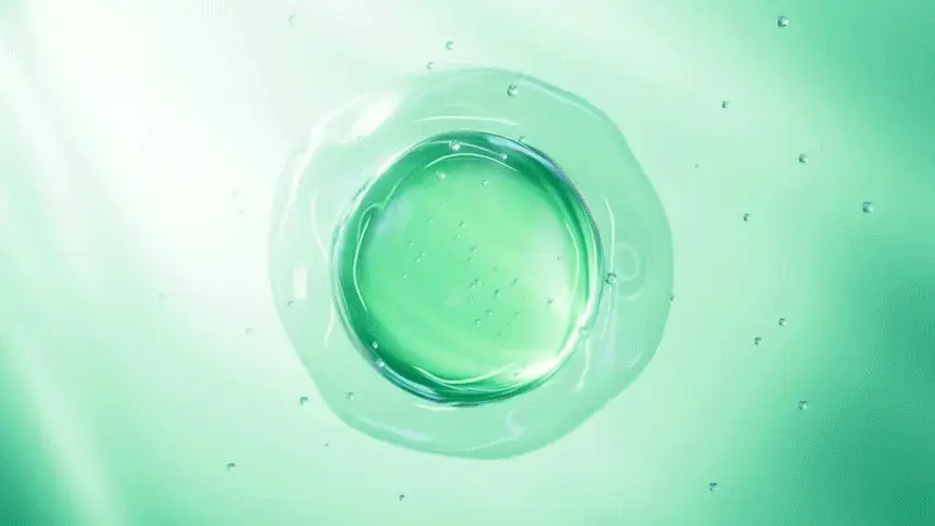 바이브랩 리바이 솔루션 안티 헤어 로스 스칼프 샴푸 500ml 상세페이지 14