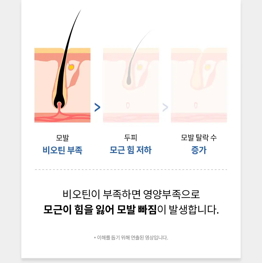 바이브랩 액티브 비오틴 펩타이드 솔루션 탈모 샴푸 상세페이지 24
