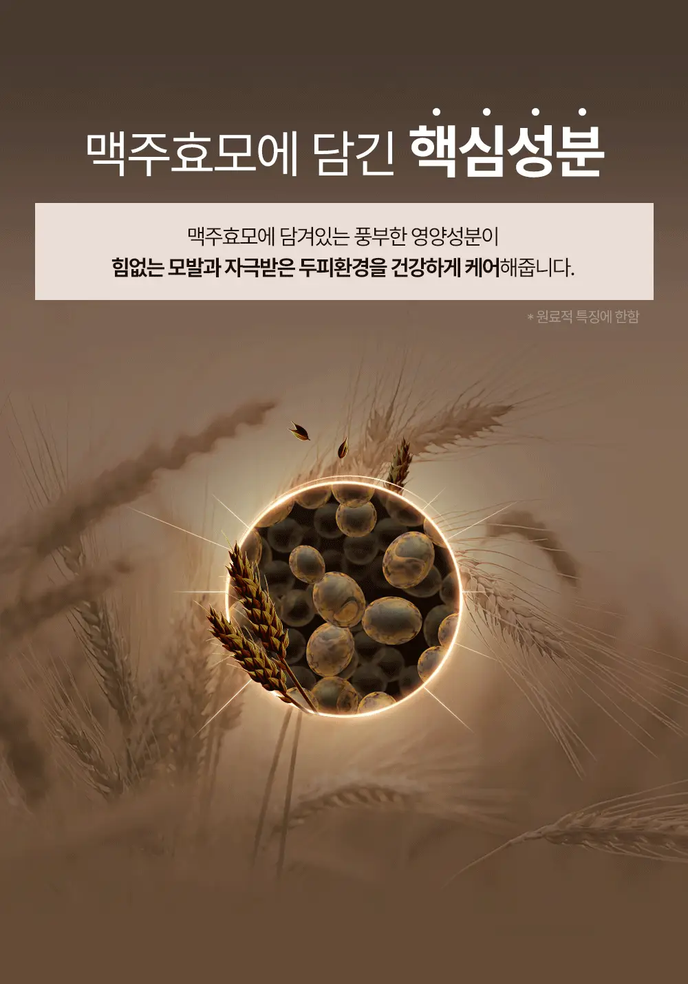 바이아우어 블랙비어 이스트 샴푸 1017ml 상세페이지 9