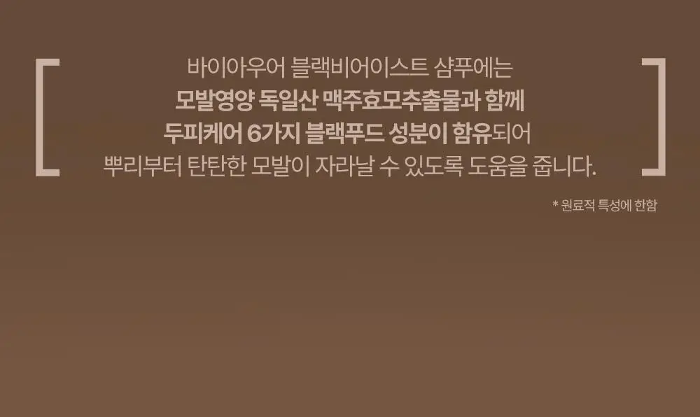 바이아우어 블랙비어 이스트 샴푸 1017ml 상세페이지 12