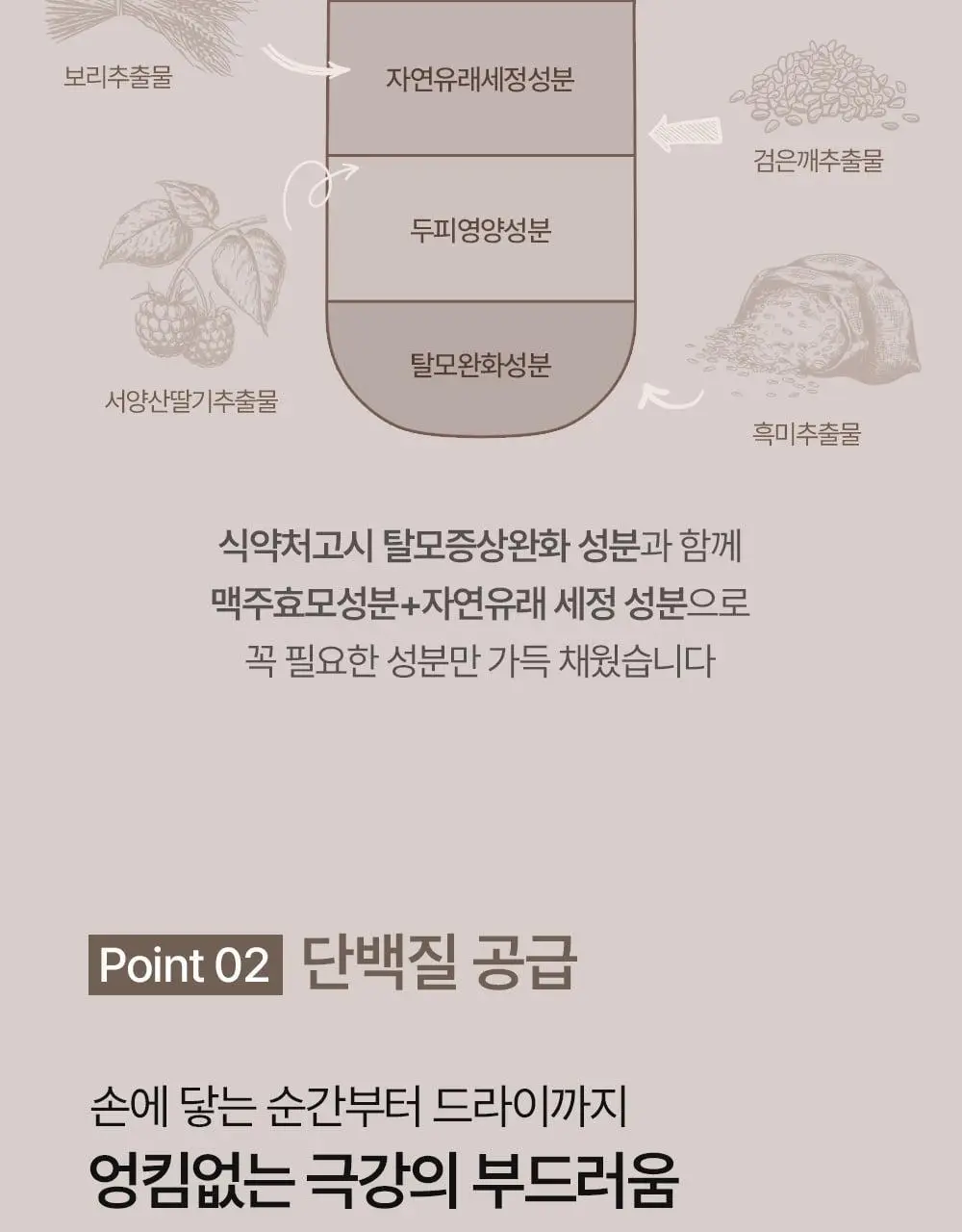 바이아우어 블랙비어 이스트 샴푸 1017ml 상세페이지 22