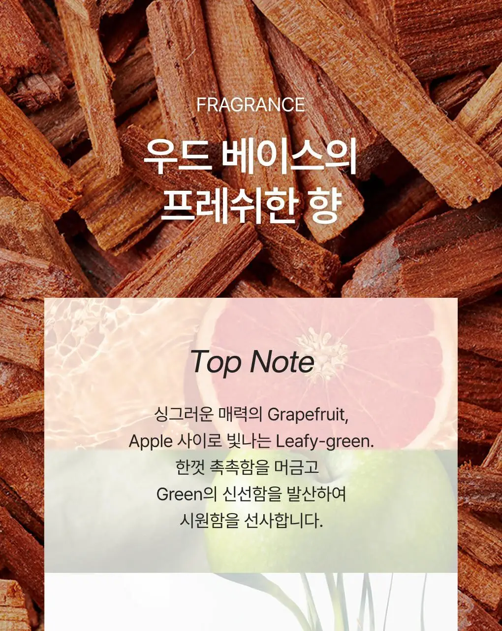 반코르 맥주효모 카페인 탈모샴푸 500ml 상세페이지 12