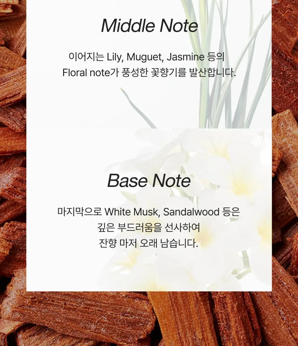 반코르 맥주효모 카페인 탈모샴푸 500ml 상세페이지 13