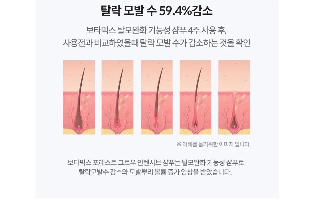 보타믹스 포레스트 그로우 인텐시브 샴푸 500ml(탈모증상완화) 상세페이지 11