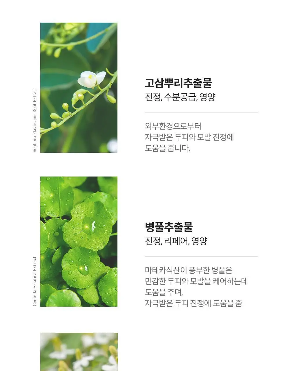 보타믹스 포레스트 그로우 인텐시브 샴푸 500ml(탈모증상완화) 상세페이지 21