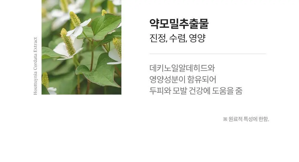 보타믹스 포레스트 그로우 인텐시브 샴푸 500ml(탈모증상완화) 상세페이지 22