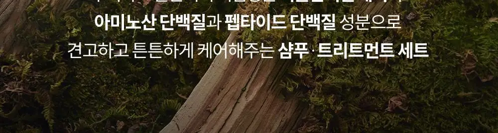 보타믹스 포레스트 그로우 인텐시브 샴푸, 트리트먼트 2종중 택1(탈모증상완화) 상세페이지 2