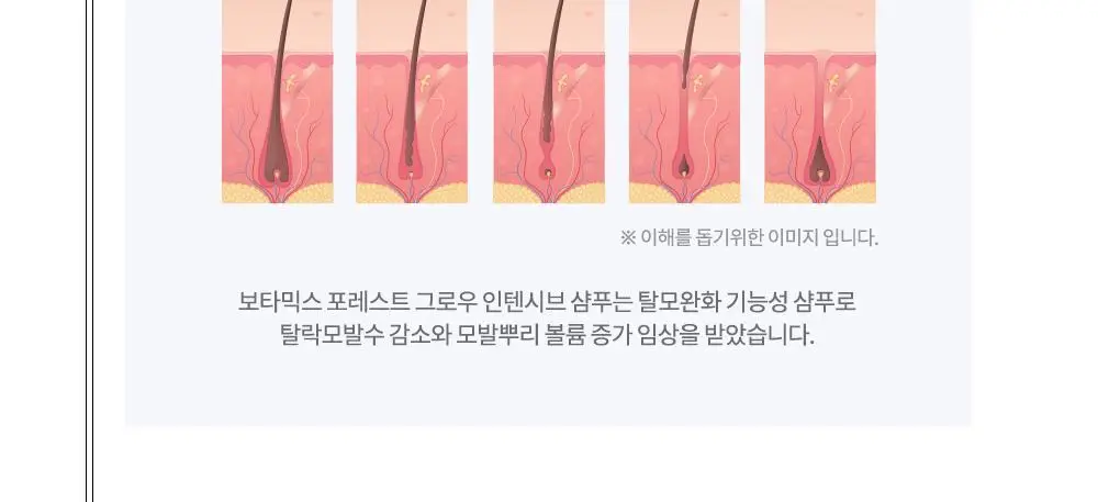 보타믹스 포레스트 그로우 인텐시브 샴푸, 트리트먼트 2종중 택1(탈모증상완화) 상세페이지 12