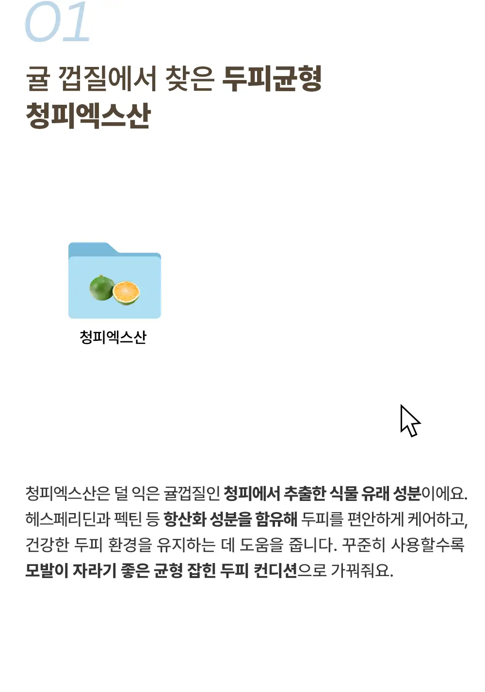브르카 밸런스 샴푸 500g 상세페이지 17