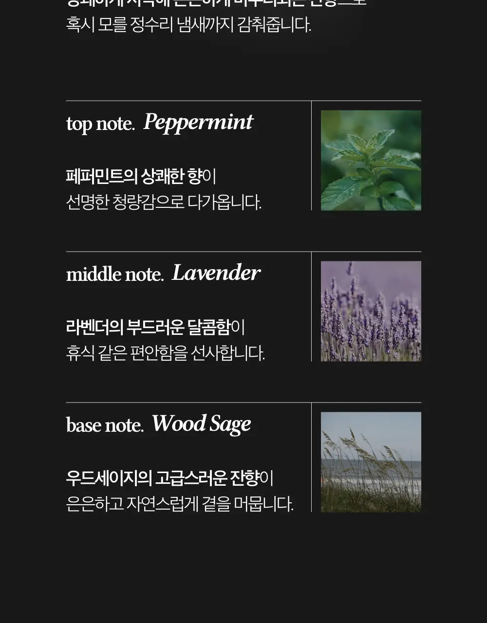 블랙몬스터 밸런싱 쿨링 샴푸 상세페이지 16
