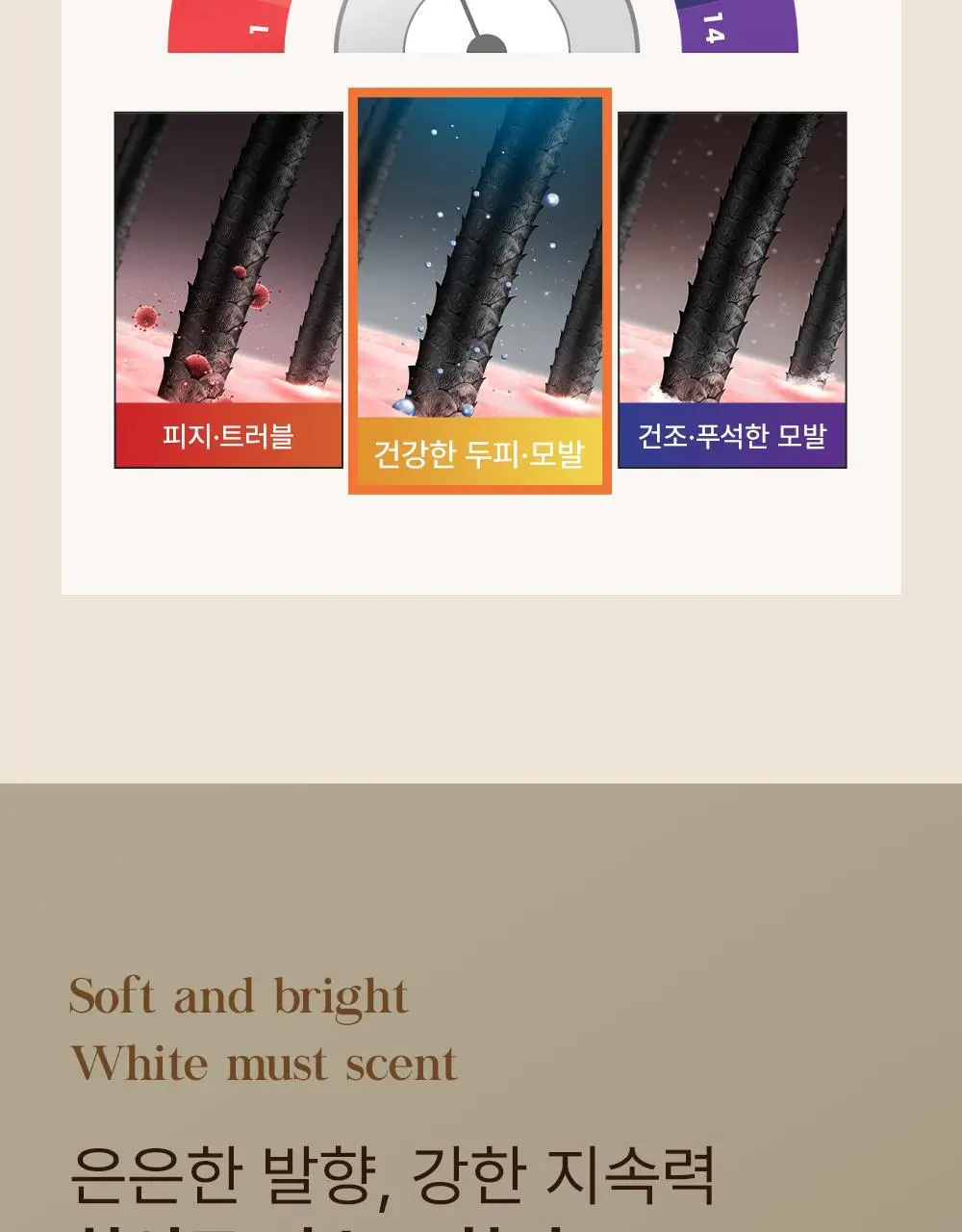 셀러버 아르간 오일 데미지 컨트롤 샴푸 500ml 상세페이지 24