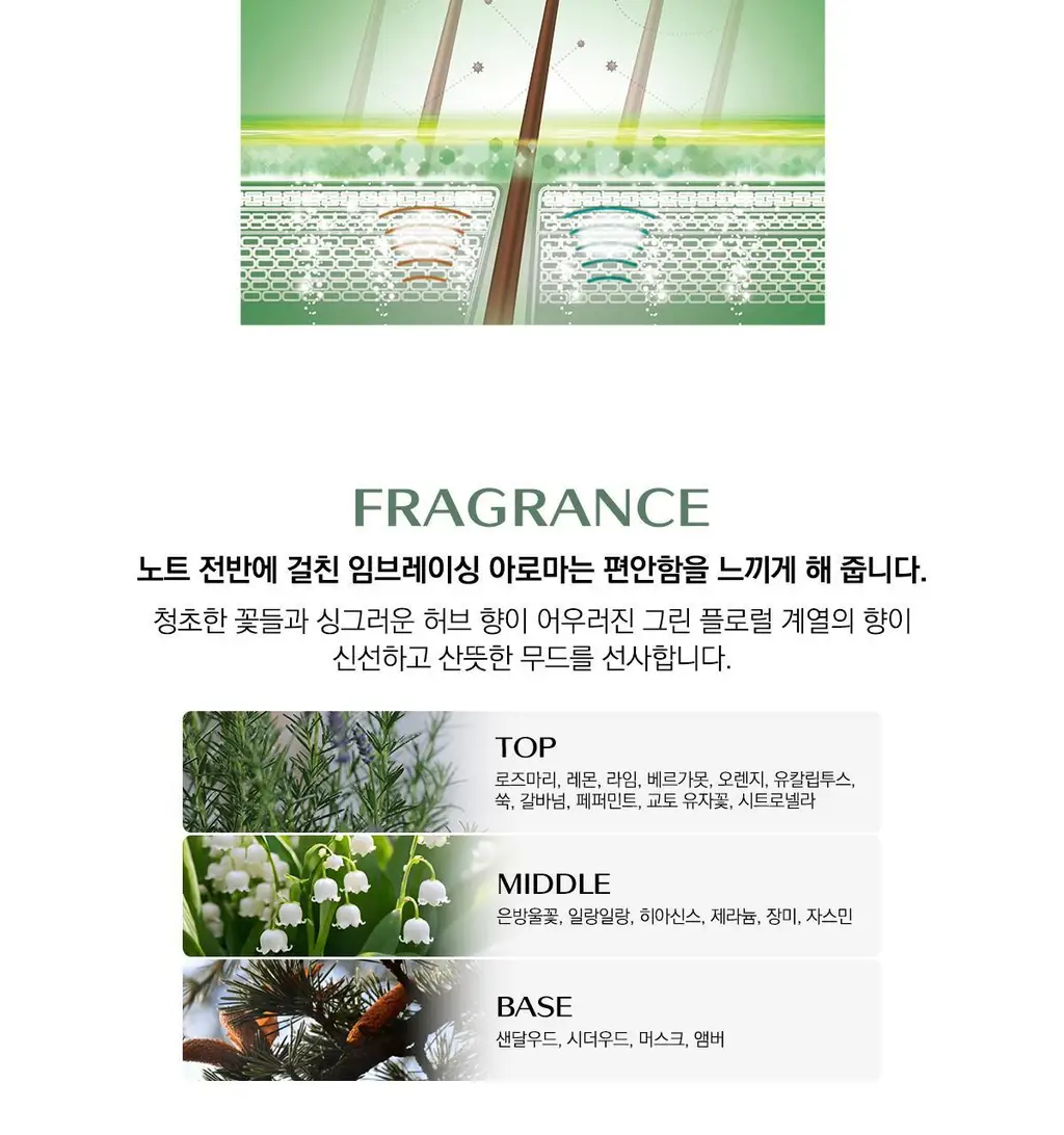 시세이도 프로페셔널 서브리믹 휀테 포르테 두피 클렌저 택1 상세페이지 8