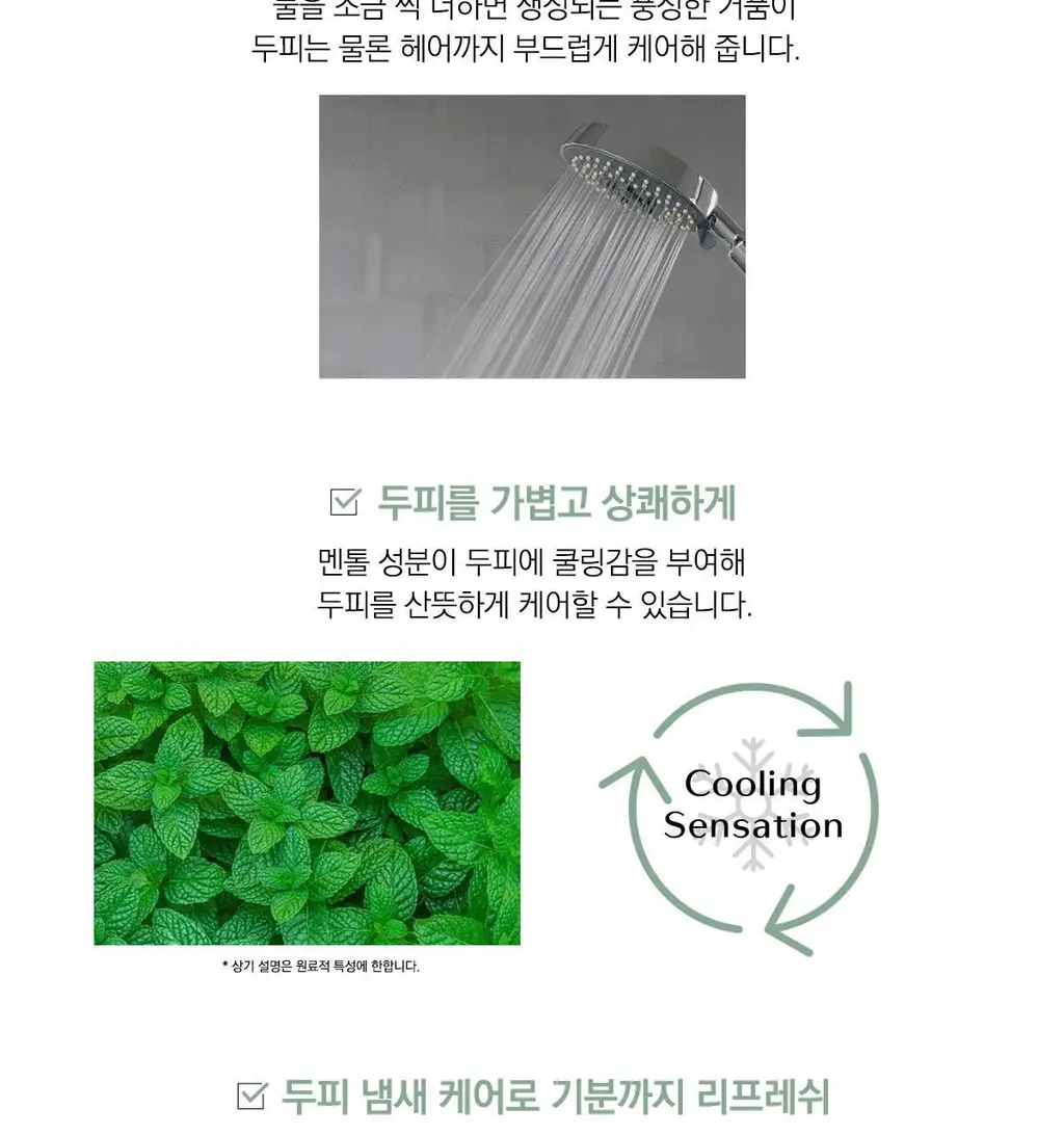 시세이도 프로페셔널 서브리믹 휀테 포르테 두피 클렌저 택1 상세페이지 13