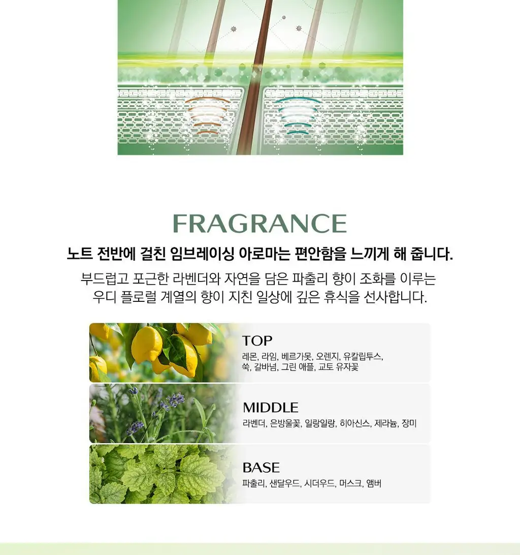 시세이도 프로페셔널 서브리믹 휀테 포르테 두피 클렌저 택1 상세페이지 20