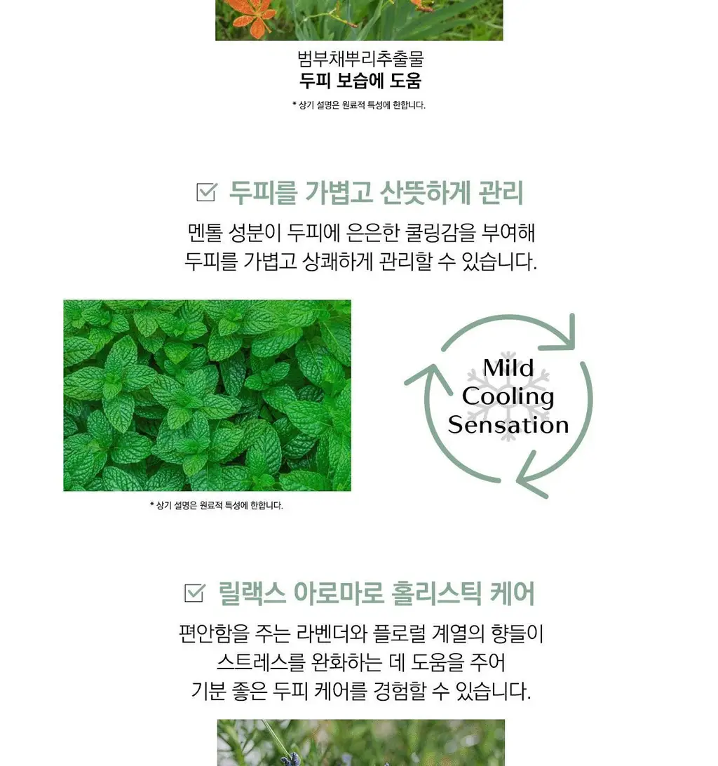 시세이도 프로페셔널 서브리믹 휀테 포르테 두피 클렌저 택1 상세페이지 25