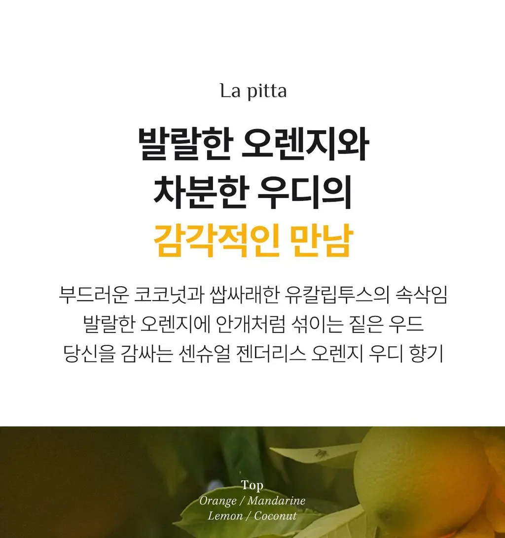 아도르 퍼퓸 헤어 샴푸 530ml 기획 3종 (+100ml 증정) 상세페이지 26