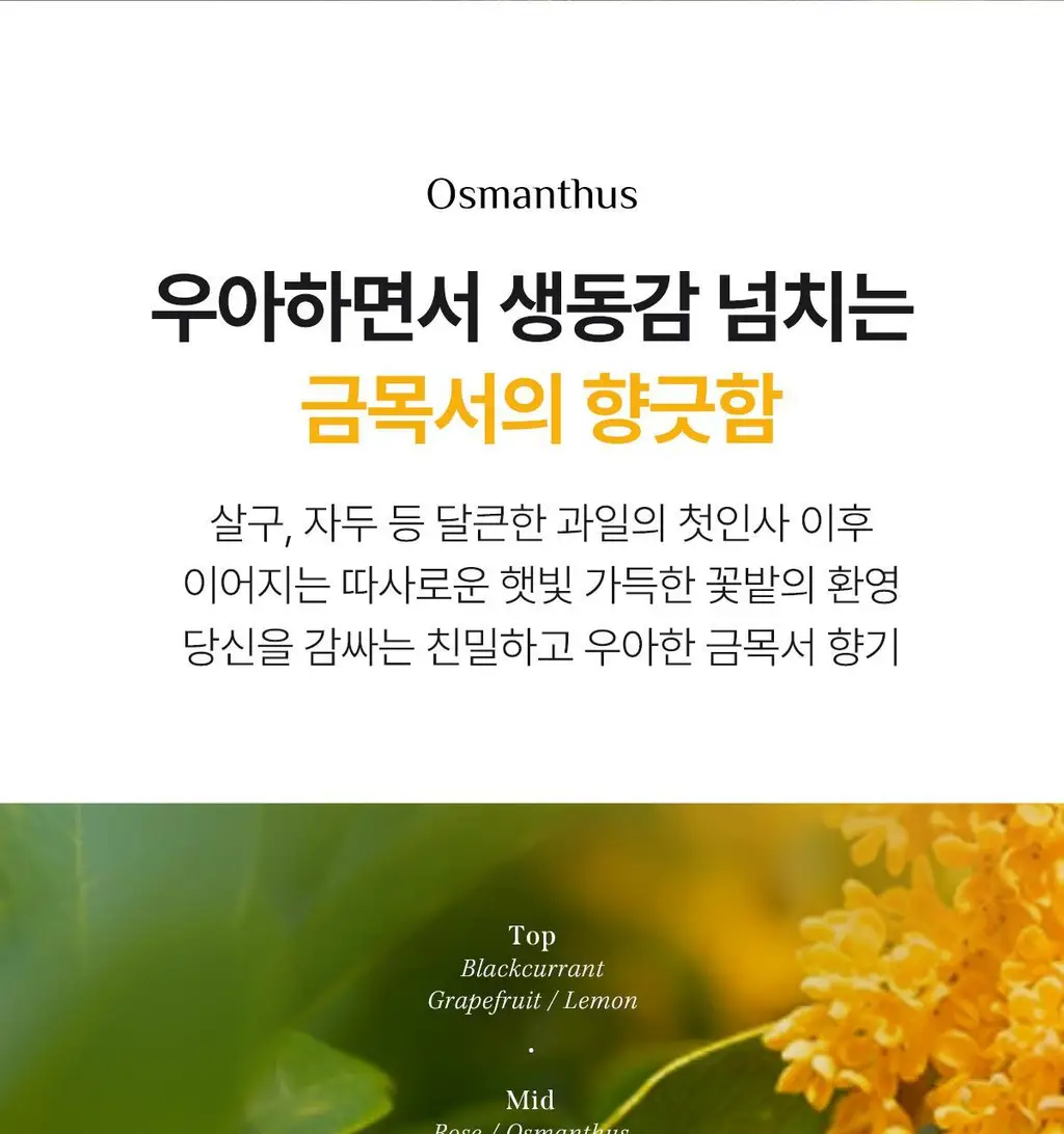 아도르 퍼퓸 헤어 샴푸 530ml 기획 3종 (+100ml 증정) 상세페이지 29