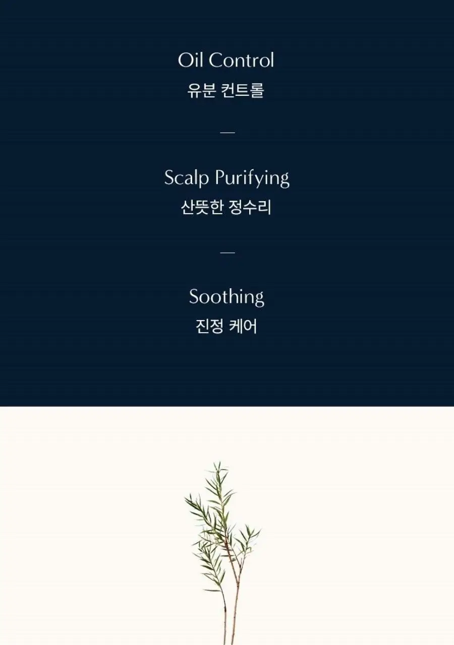 아로마티카 로즈마리 스칼프 스케일링 샴푸 바 130g 상세페이지 14