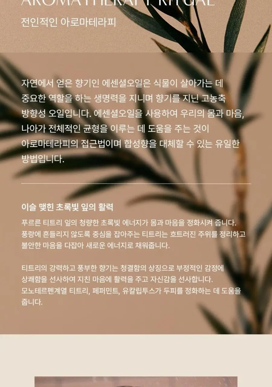 아로마티카 로즈마리 스칼프 스케일링 샴푸 바 130g 상세페이지 17