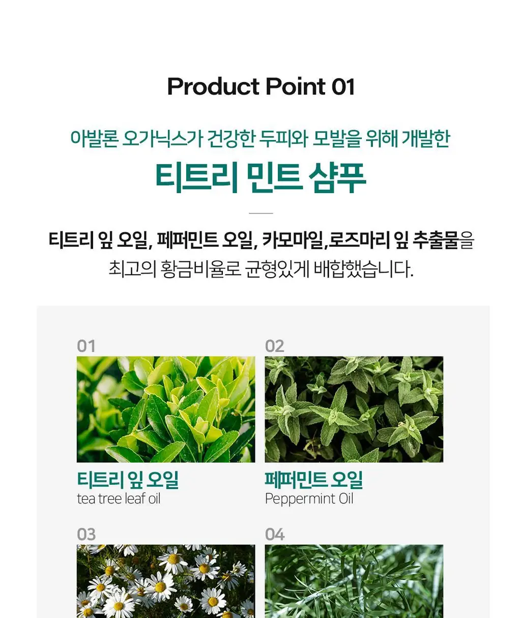 아발론 오가닉스 스칼프 노멀라이징 티트리민트 샴푸 414ml 상세페이지 11
