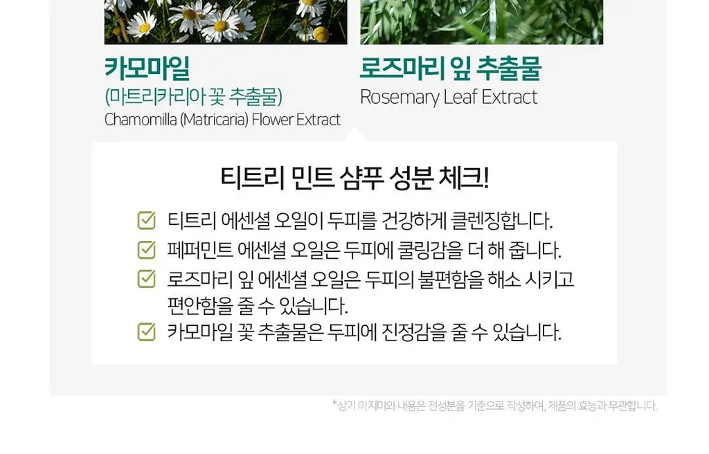 아발론 오가닉스 스칼프 노멀라이징 티트리민트 샴푸 414ml 상세페이지 12