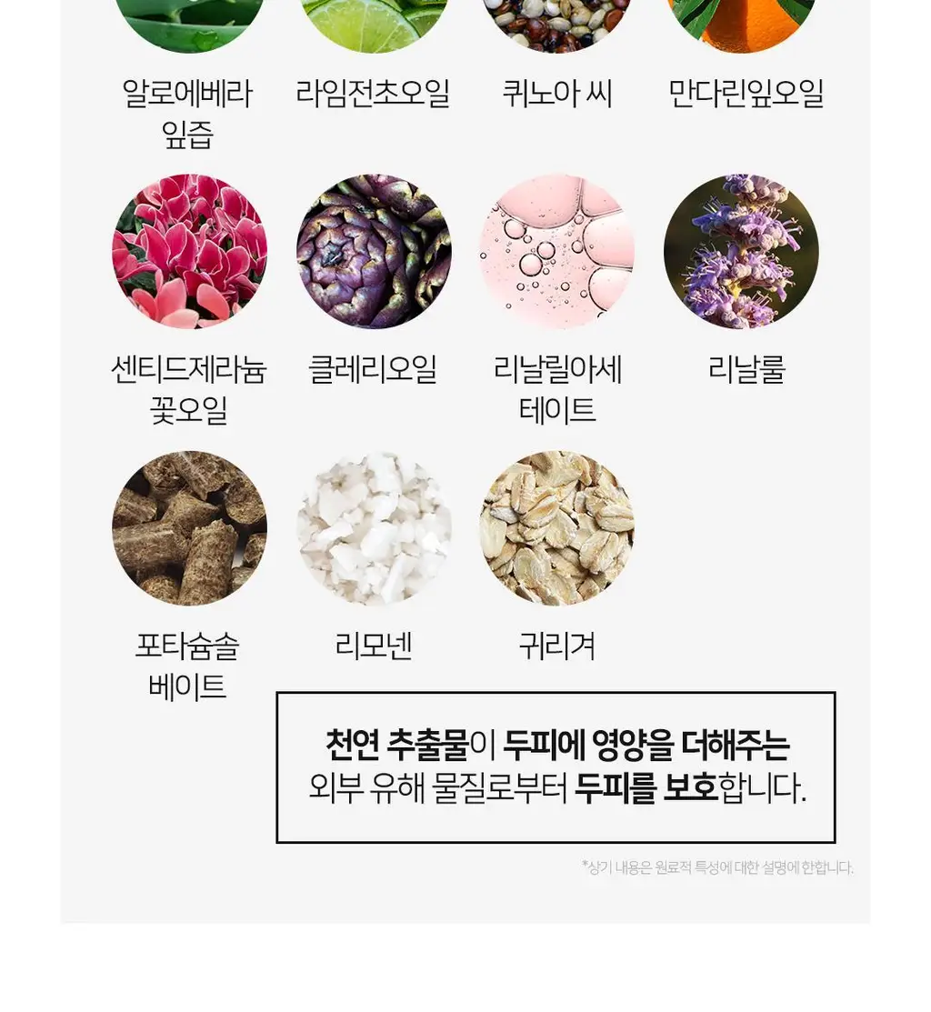 아발론 오가닉스 스칼프 노멀라이징 티트리민트 샴푸 414ml 상세페이지 15