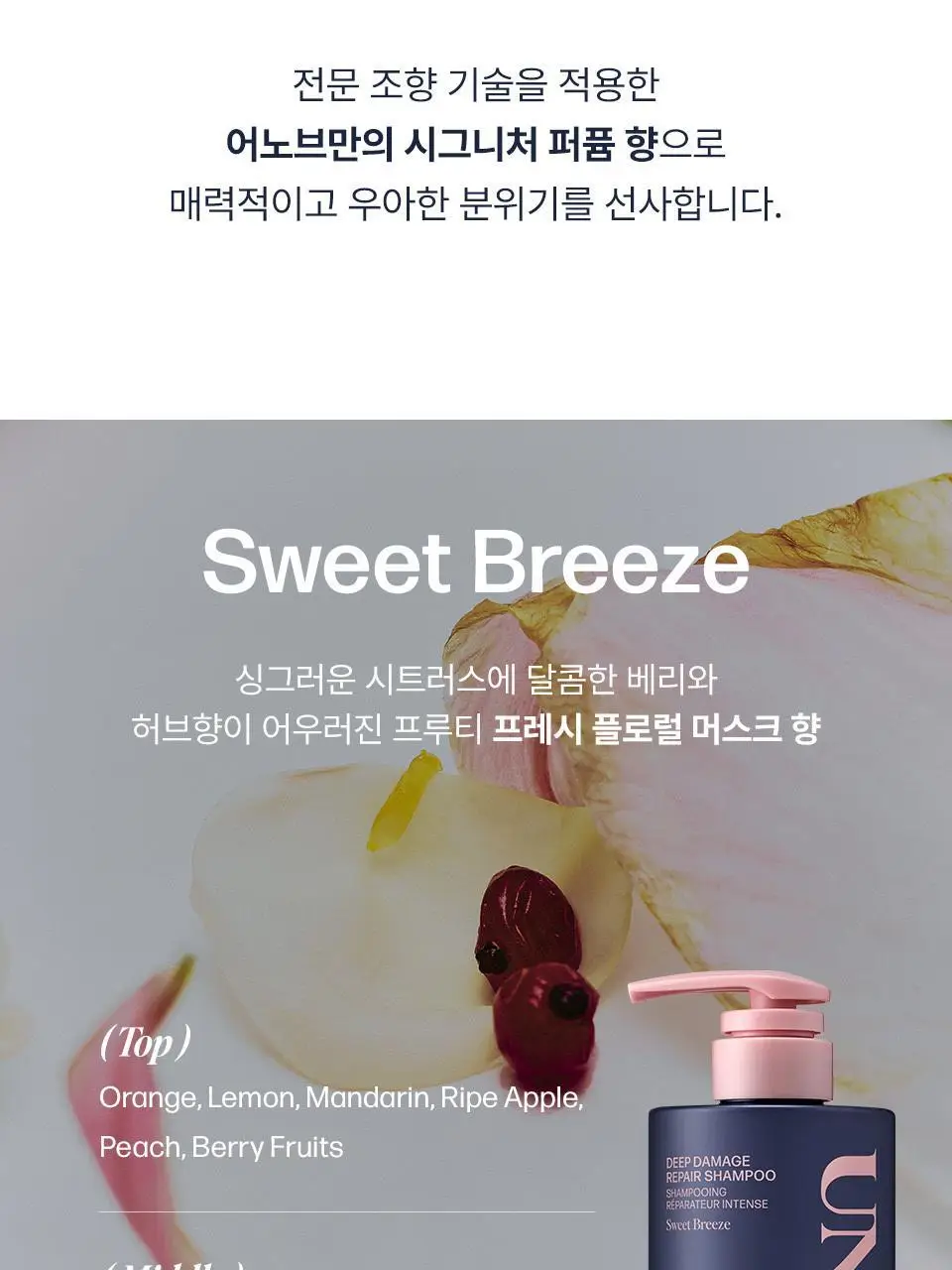 어노브 딥 데미지 리페어 샴푸 500g 2종 택1 (단백질 앰플 샴푸) 상세페이지 16