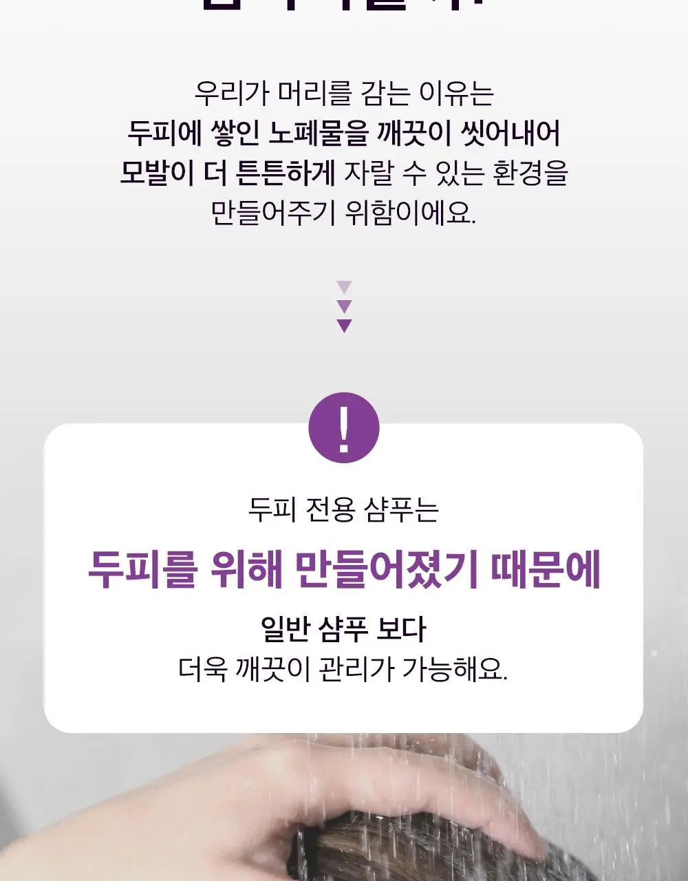 얼라이브랩 오투 스칼프 워터 샴푸 350ml 상세페이지 4