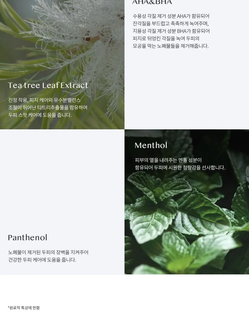 에센허브 티트리 딥클린 스칼프 샴푸 500ml 상세페이지 5