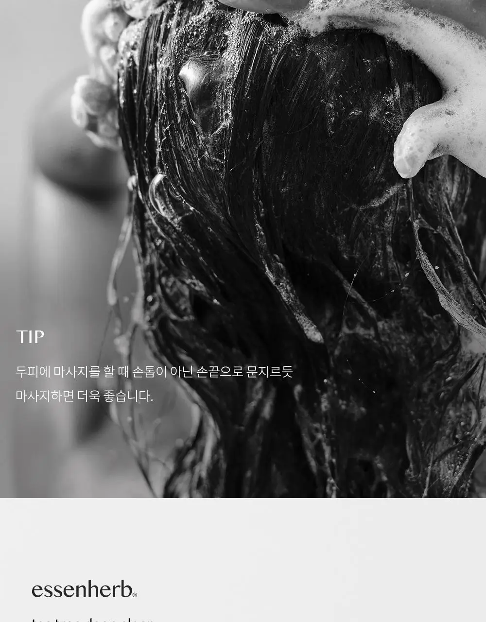 에센허브 티트리 딥클린 스칼프 샴푸 500ml 상세페이지 13