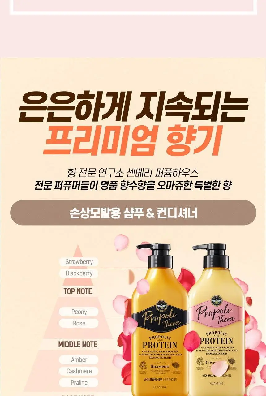 엘라스틴 프로폴리테라 손상된모발용 샴푸500ml 상세페이지 21