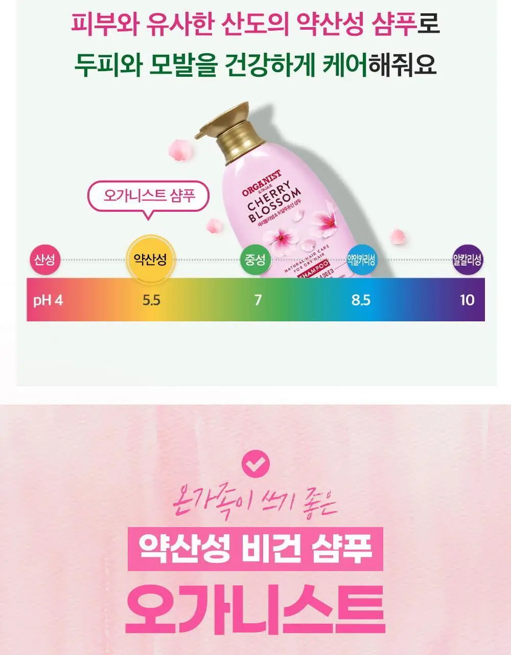 오가니스트 체리블라썸 수분 샴푸 500ml 상세페이지 14