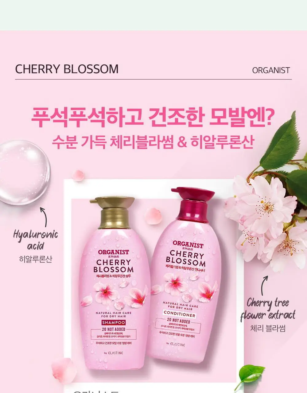 오가니스트 체리블라썸 수분 샴푸 500ml 상세페이지 17
