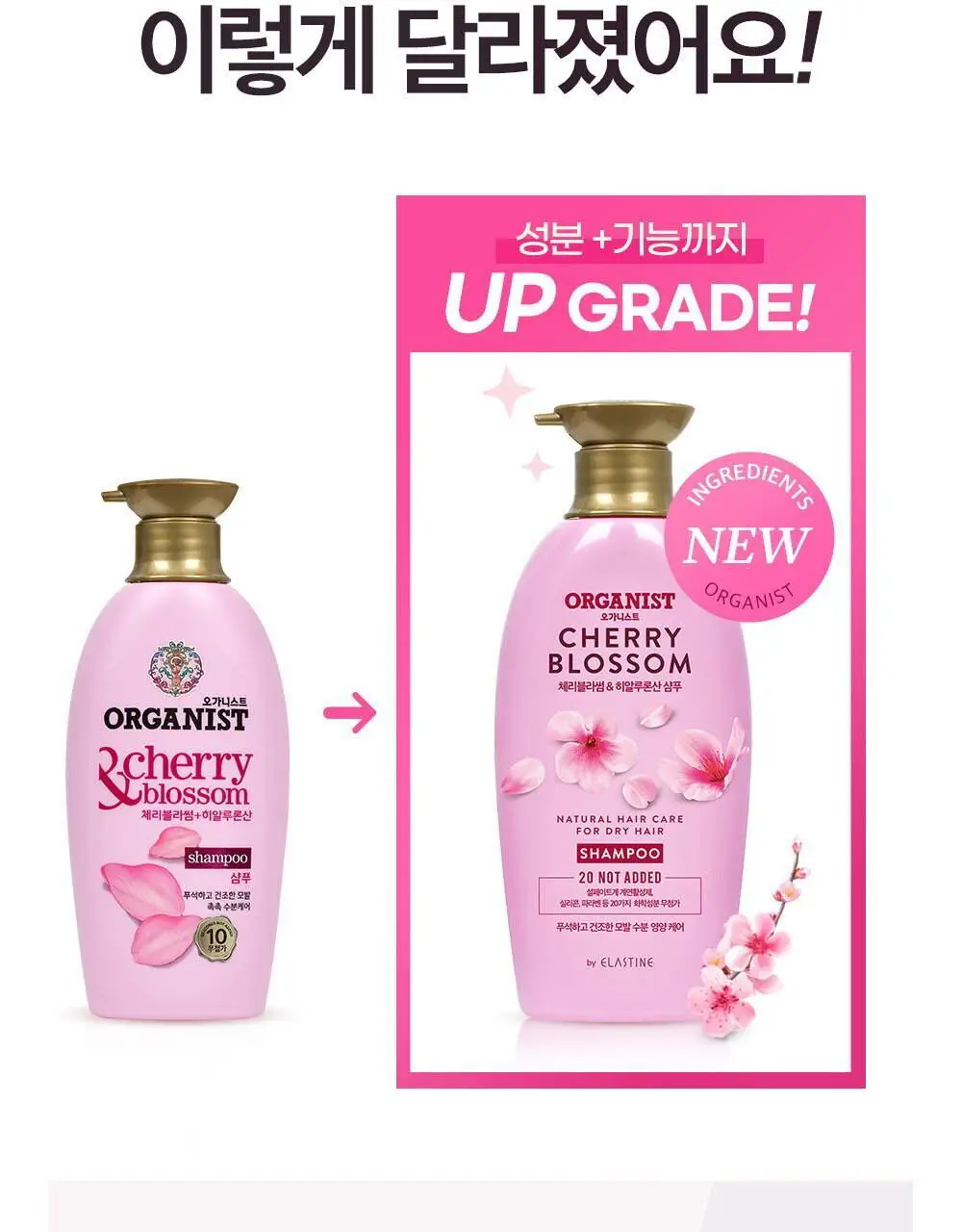 오가니스트 히말라야핑크솔트 스케일링 샴푸 500ml 상세페이지 3
