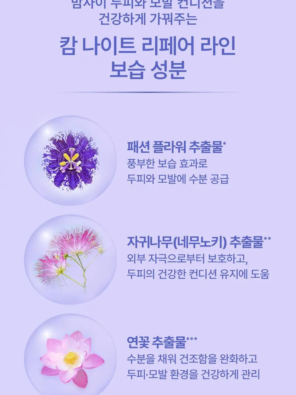 요루 나이트 리페어 샴푸/트리트먼트 440ml 4종 상세페이지 15