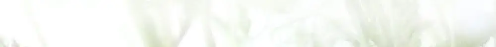 위드비컨 탈모증상완화 기브미워터 샴푸 360ml(건성/민감성 두피) 상세페이지 20