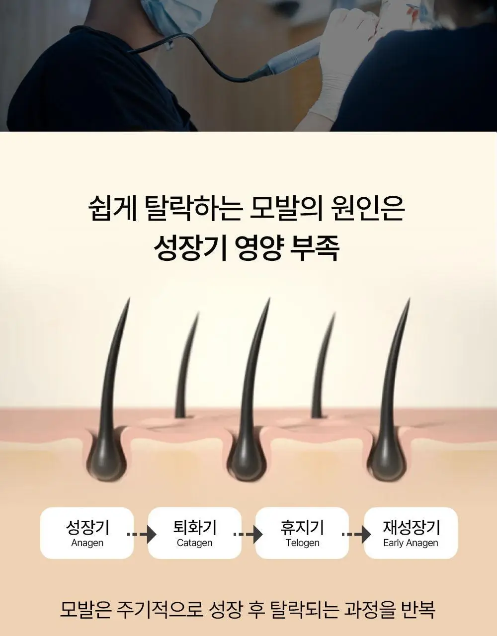 위드비컨 탈모증상완화 노모어오일 샴푸 360ml(지성 두피) 상세페이지 24
