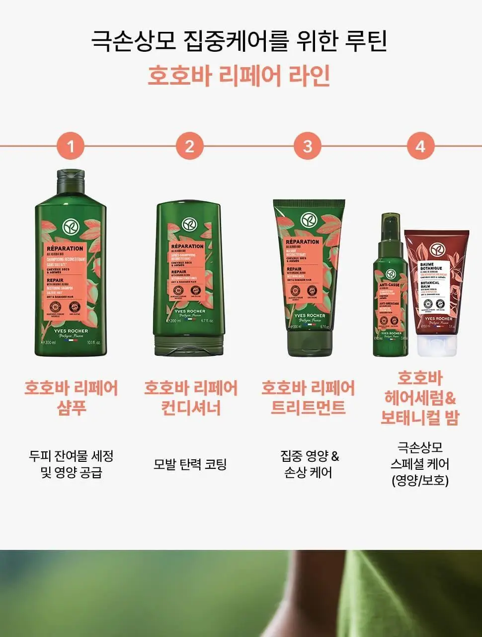이브로쉐 호호바 리페어 샴푸 300ml (극손상모용) 상세페이지 16