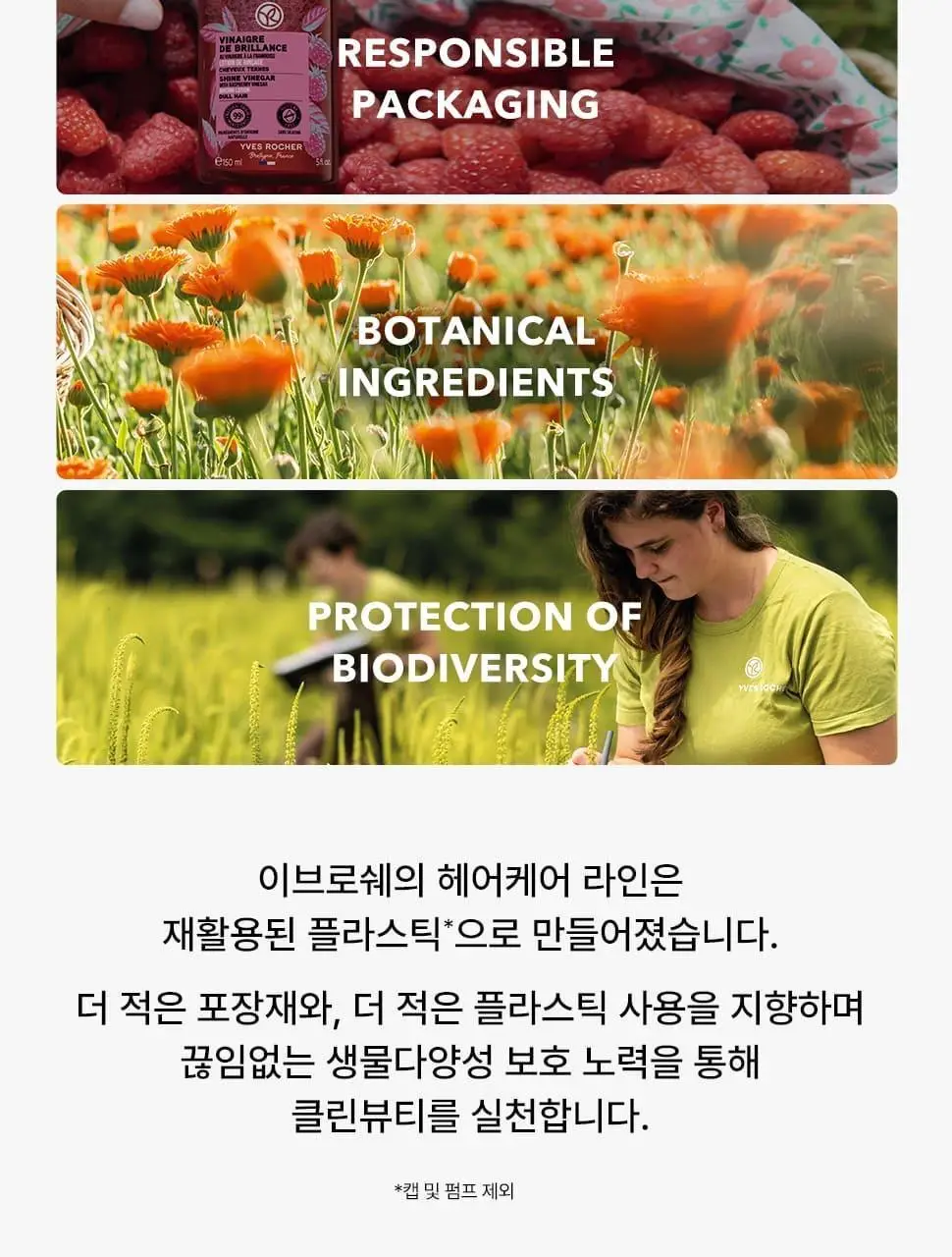 이브로쉐 호호바 리페어 샴푸 300ml (극손상모용) 상세페이지 18