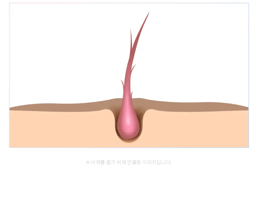 제이숲 컬러제이 오로라 보색 샴푸 (퍼플/핑크) 380ml 2종 택1 상세페이지 13
