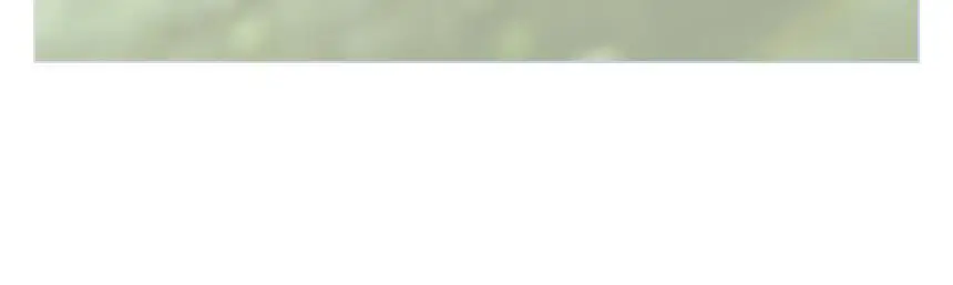 제이숲 컬러제이 오로라 보색 샴푸 (퍼플/핑크) 380ml 2종 택1 상세페이지 22